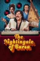 Poster of The Nightingale of Bursa