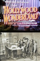 Poster of Hollywood Wonderland