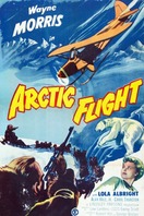 Poster of Arctic Flight