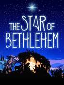 Poster of The Star of Bethlehem