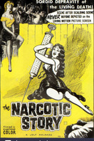 Poster of The Narcotics Story
