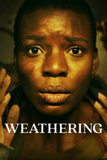Poster of Weathering