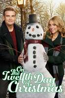 Poster of On the Twelfth Day of Christmas