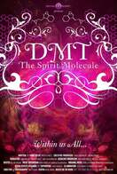 Poster of DMT: The Spirit Molecule