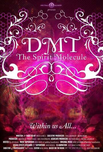 Poster of DMT: The Spirit Molecule