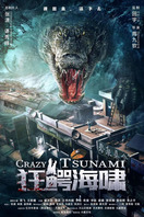 Poster of Crazy Tsunami