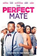 Poster of The Perfect Mate