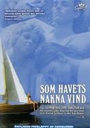 Poster of One Swedish Summer
