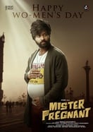 Poster of Mr. Pregnant