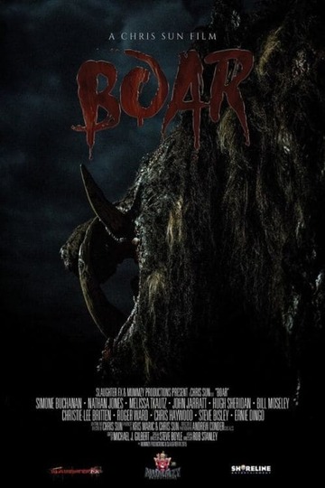 Poster of Boar