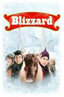 Poster of Blizzard