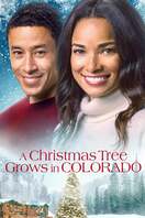 Poster of A Christmas Tree Grows in Colorado