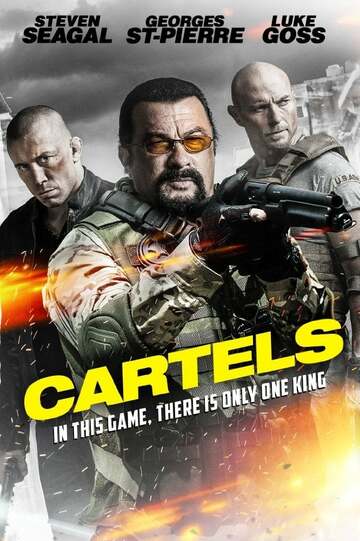 Poster of Cartels