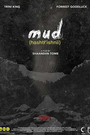 Poster of Mud