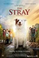 Poster of The Stray