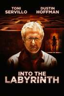 Poster of Into the Labyrinth