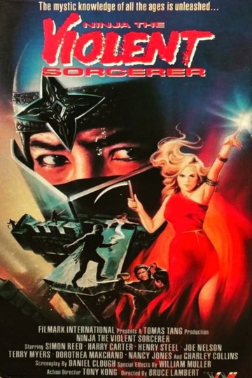 Poster of Ninja, the Violent Sorceror