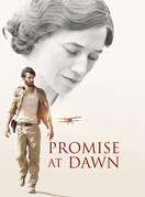 Poster of Promise at Dawn