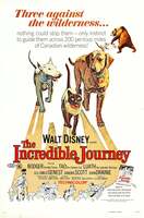 Poster of The Incredible Journey