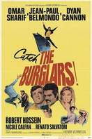 Poster of The Burglars