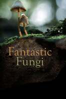 Poster of Fantastic Fungi