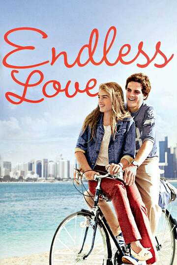 Poster of Endless Love