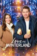 Poster of Love in Winterland