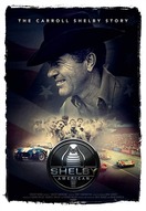 Poster of Shelby American