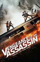 Poster of Vengeance of an Assassin