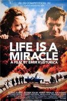Poster of Life Is a Miracle