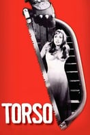 Poster of Torso