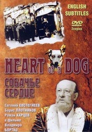 Poster of Heart of a Dog