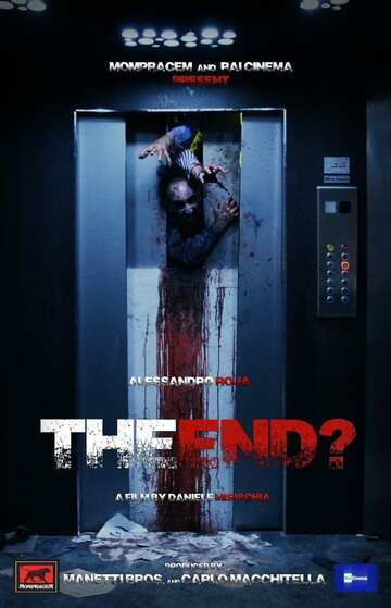 Poster of The End?