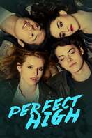 Poster of Perfect High