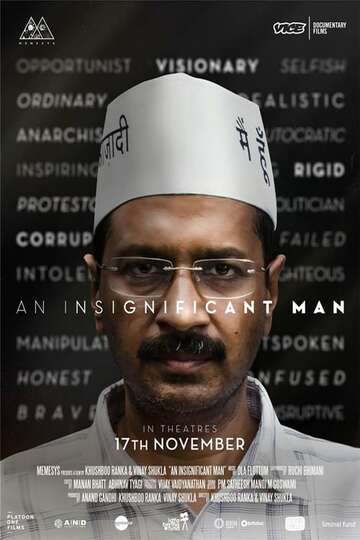 Poster of An Insignificant Man