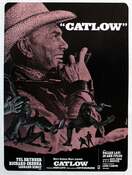 Poster of Catlow