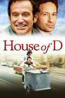 Poster of House of D