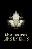 Poster of The Secret Life of Cats
