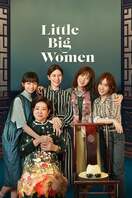 Poster of Little Big Women