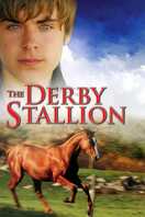 Poster of The Derby Stallion