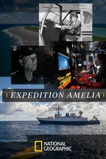 Poster of Expedition Amelia