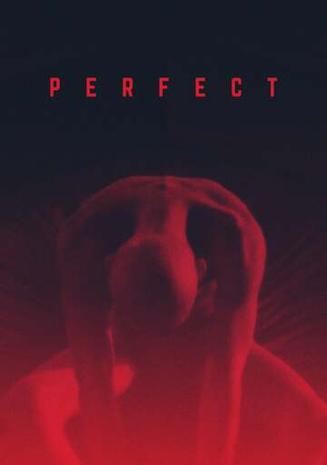 Poster of Perfect