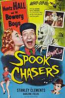 Poster of Spook Chasers