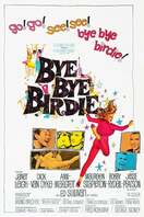 Poster of Bye Bye Birdie
