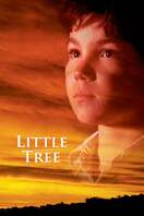 Poster of The Education of Little Tree