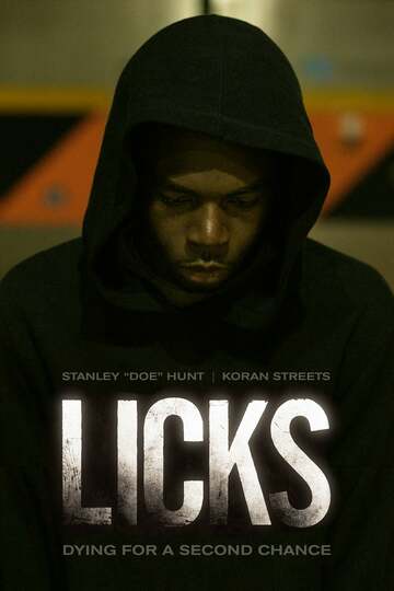 Poster of Licks