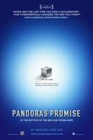Poster of Pandora's Promise