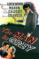 Poster of The Man in Grey