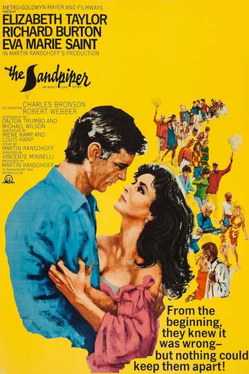 Poster of The Sandpiper