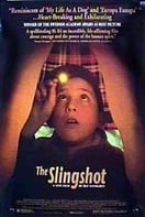 Poster of The Slingshot